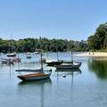 245 Woods Hole Rd - Photo 35