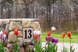 13 Tuckers Way - Photo 39