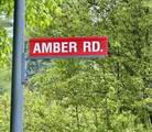202 Amber Road - Photo 41
