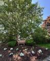 189 Littleton Rd - Photo 13