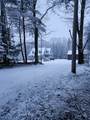 371 Walnut Hill Rd - Photo 41