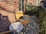 313 Beacon St - Photo 12