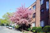 569 Washington St - Photo 12
