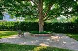 11 Montague Street - Photo 8