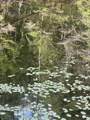 0 Dudleyville Rd - Photo 11