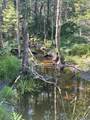 0 Dudleyville Rd - Photo 5