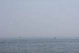 32 Ocean - Photo 9