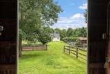 31 Mt. Lebanon St. - Photo 37