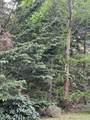 59 Evergreen St - Photo 14