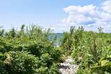 34 Balsam St - Photo 8