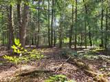 XO Green Rd - Photo 18