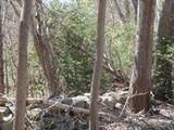 37 Rocky Gutter Street - Photo 3