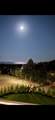 19 Brown Road - Photo 40