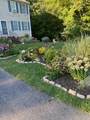 101 Cavalier Ave - Photo 5