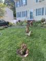 101 Cavalier Ave - Photo 6