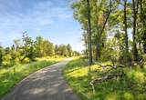 5 Tamarack Way - Photo 8