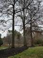 40 Michael Way - Photo 24