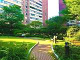 2 Hawthorne - Photo 9