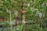 281 Greenfield Rd - Photo 20