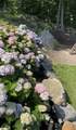 13 Moore Dr - Photo 41