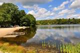 15 Thicket Road - Photo 42
