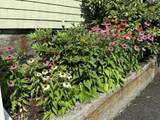 114 Wrentham St - Photo 29