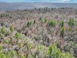 0 Skyline Trail - Photo 6