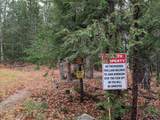 33 Old Pulp Mill Lane - Photo 33