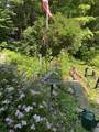 1196 Bancroft Rd - Photo 9