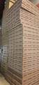 264 Washington Street - Photo 18