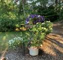 5 Miriah Dr - Photo 27