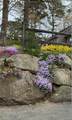 5 Miriah Dr - Photo 28
