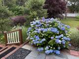 14 Heritages Drive - Photo 42