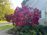 32 Meadow Road - Photo 13