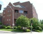 44 Elm St - Photo 9