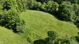 0 Brooks Pond Rd (Large Parcel) - Photo 13