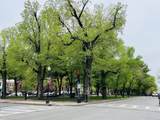 3 Fairfield Street - Photo 6