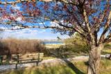 6 Mariner Way - Photo 9