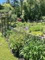63 Wolf Island Road - Photo 24