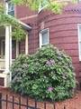 1253 Massachusetts Ave - Photo 18