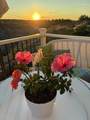 24 Del Ray Dr - Photo 30