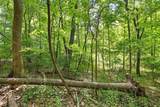 374 Wilbraham Rd Lot A - Photo 16