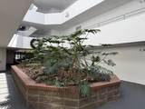 1 Carey Circle - Photo 3