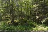 Lot 155 Chippewa Drive - Photo 1