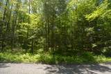 Lot 155 Chippewa Drive - Photo 2