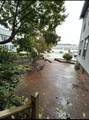 12 Walnut - Photo 13