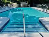 11 Thayer Pond - Photo 1
