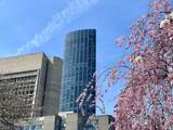 1 Dalton St - Photo 38