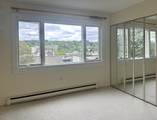 29 Vine Street - Photo 11