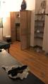 100 Linden Street - Photo 16